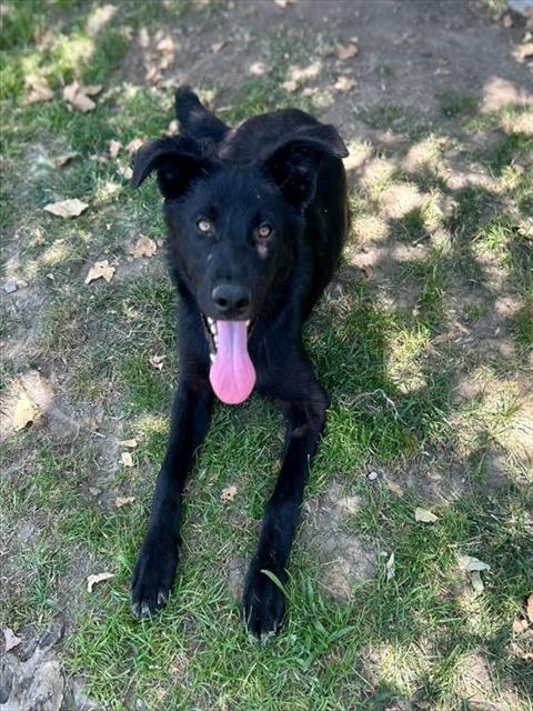 Image_A1921128