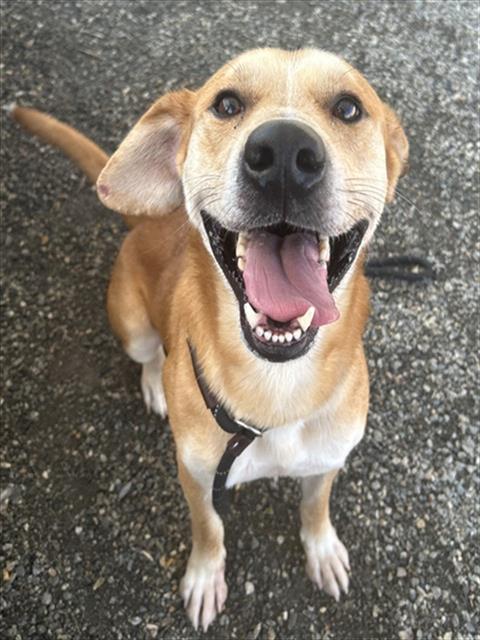 Image_A024752