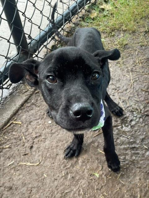 Image_A183162
