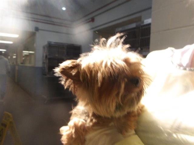 Image_A315048
