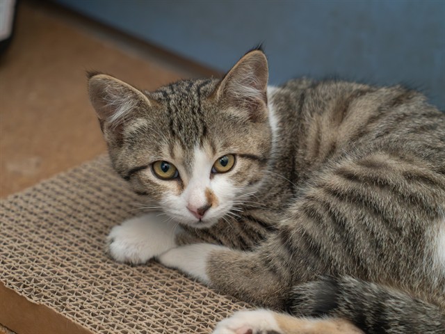 Luna