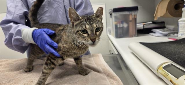 Image_A315669