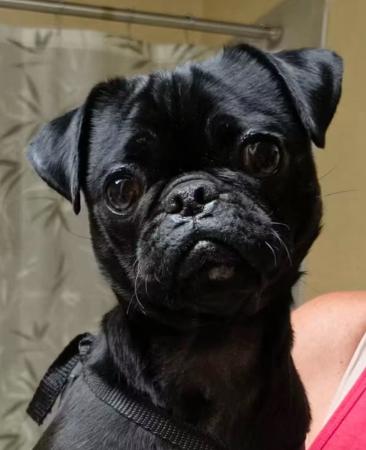 Image_3091307