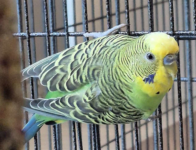 Image_A081724