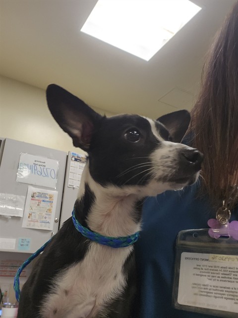 Image_A1926770