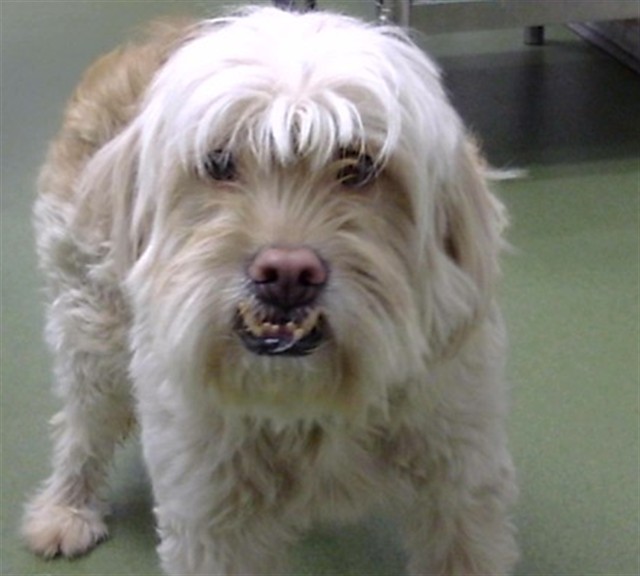 Image_A846645