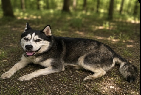 Image_A017345