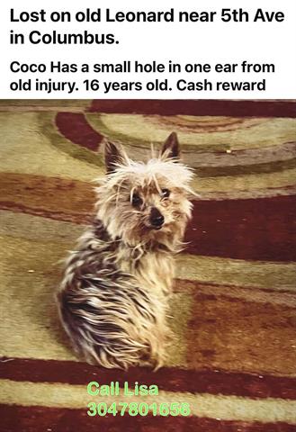 Image_A090956