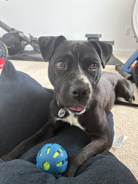 Image_A570507