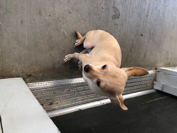Image_3098835