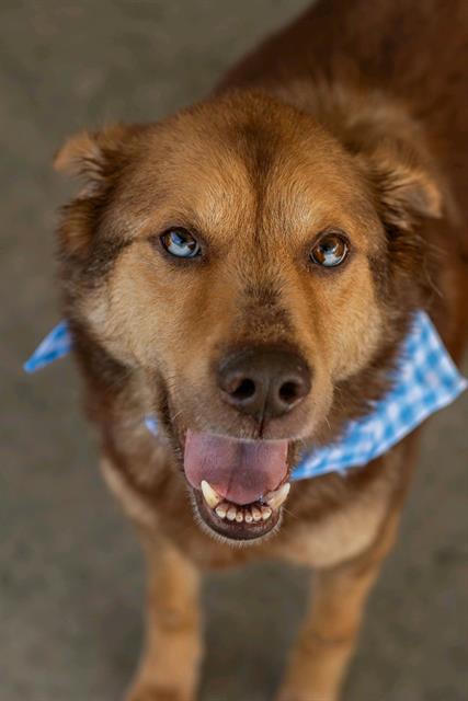 Image_A074969