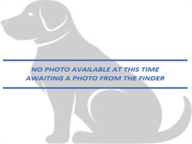 Image_A091100