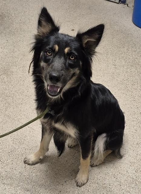 Image_A1254591