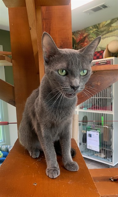 Image_A126168