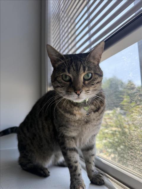 Image_A101494