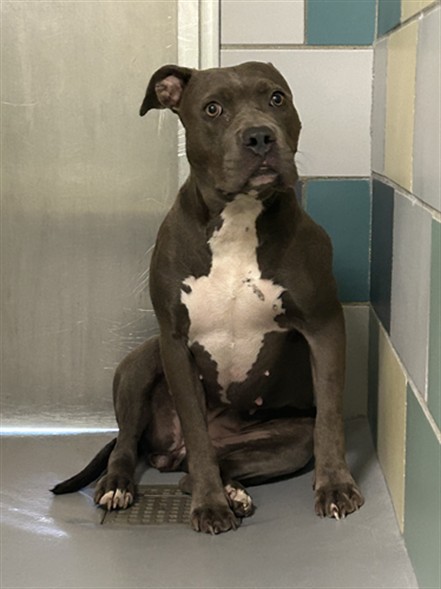 Image_A1930009