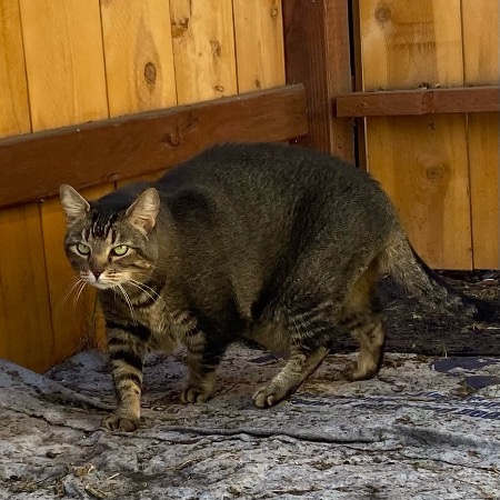 Image_3102614