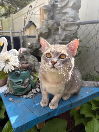 Image_3102835