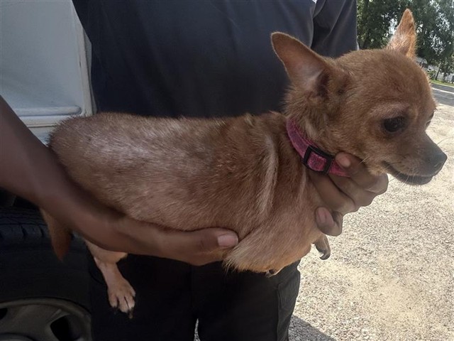 A660113