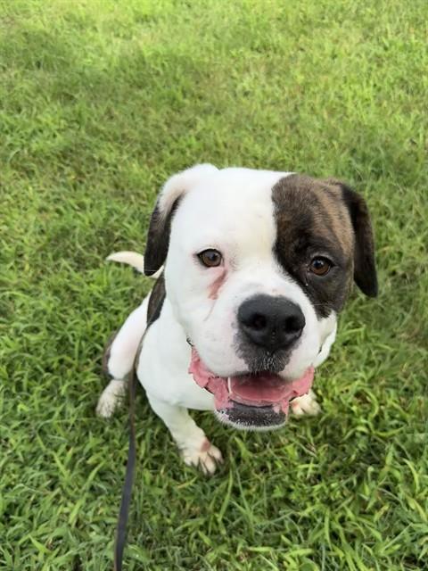 Image_A571428