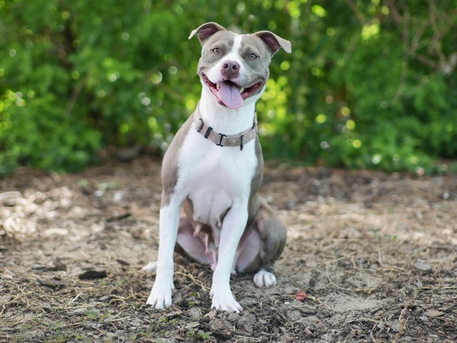 Image_A082161