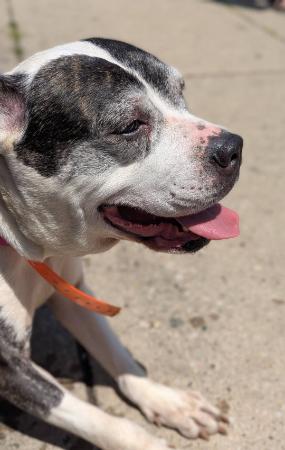 Image_3106092
