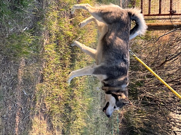 Image_3106298