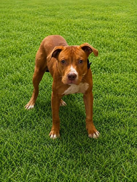 Image_A573266