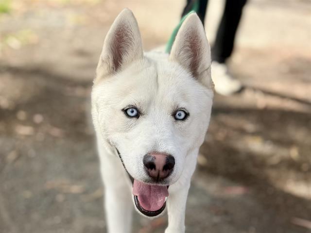 Yukon