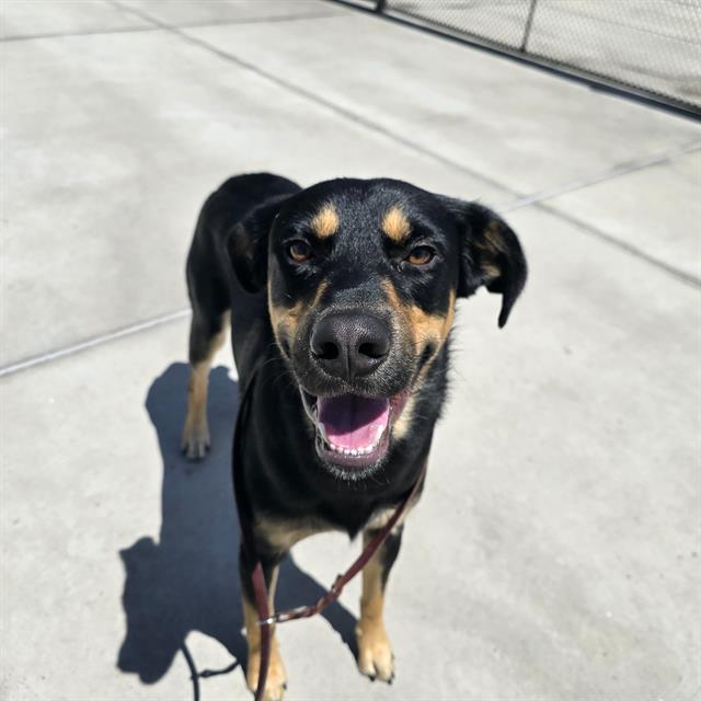 TITO