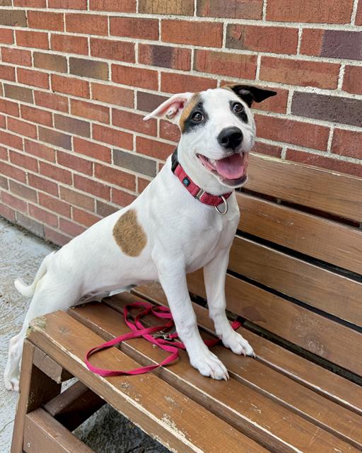Image_A300951