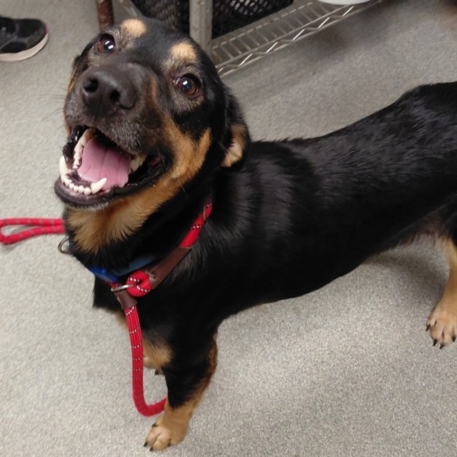 Image_A025723