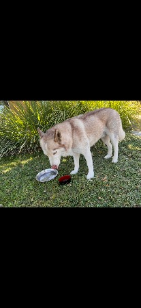 Image_3111277