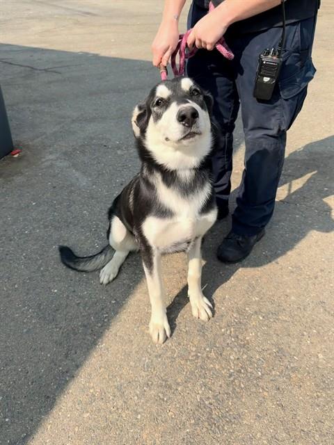 Image_A927069