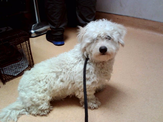 Image_A1052802