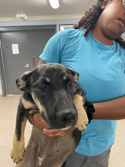 Image_A018026