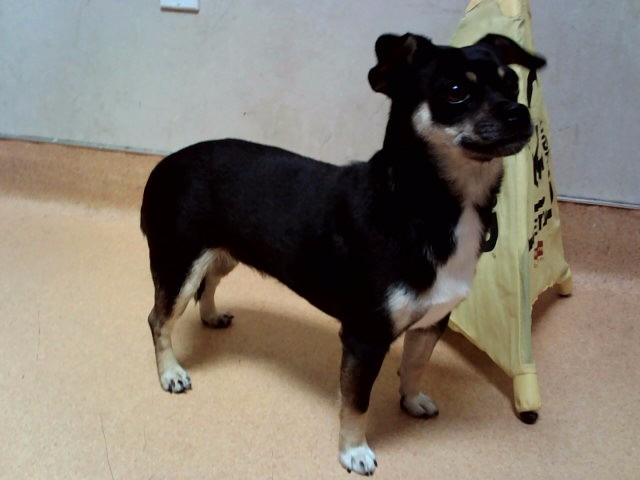 Image_A1052812