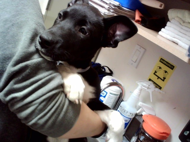 Image_A1052942