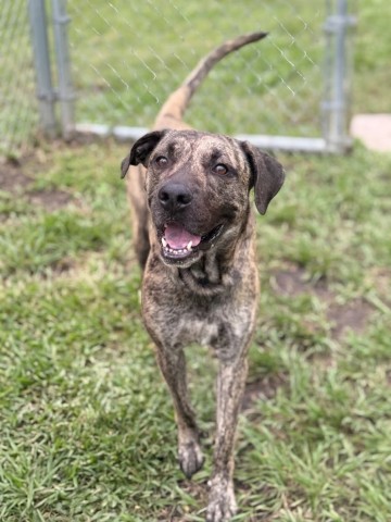 Image_A007687
