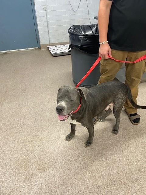 Image_A002101