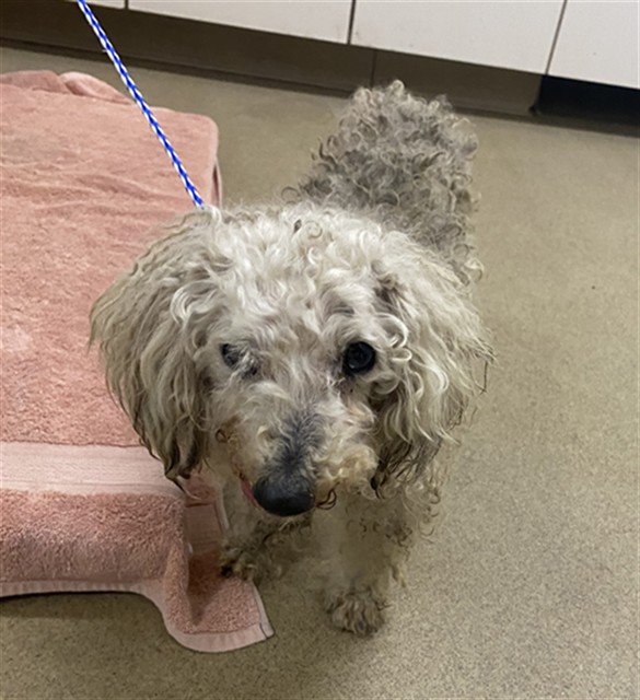 Image_A559543