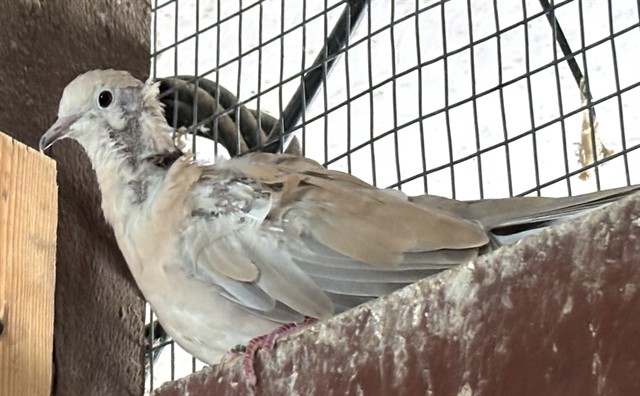 Image_A300508