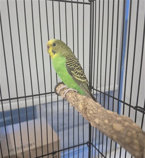 Image_A083714