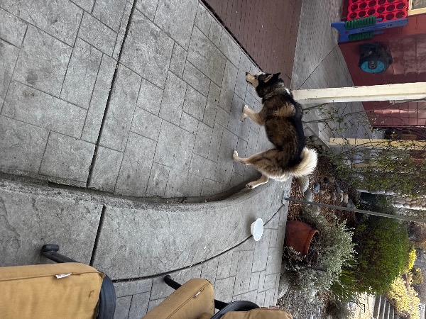 Image_3115391