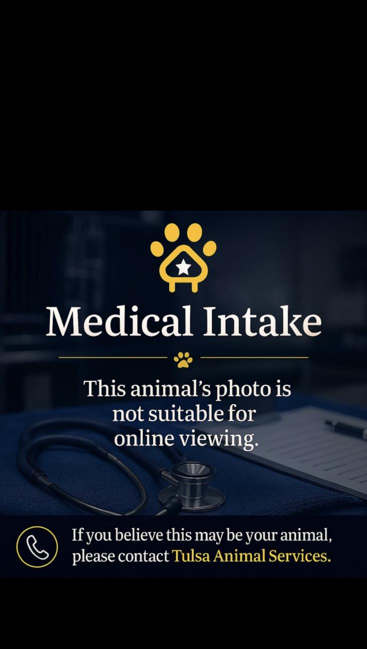 Image_A185117