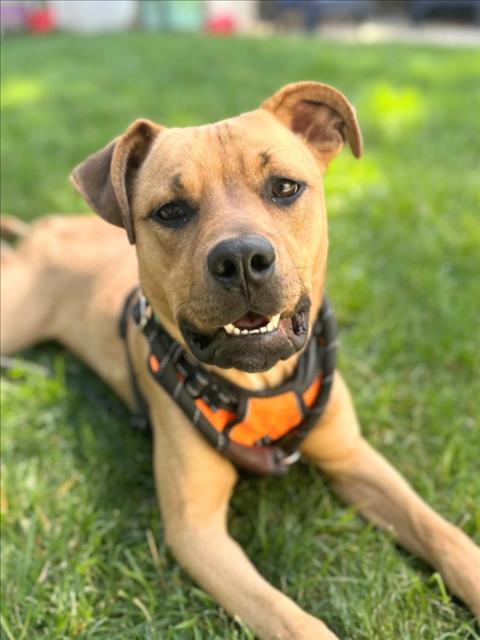 Image_A227876