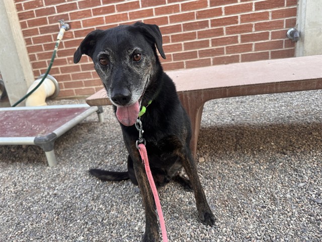Image_A692568