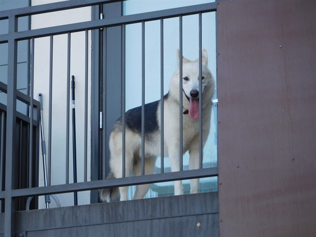 Image_A444959