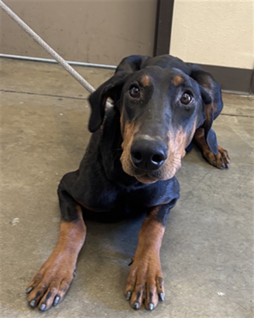 Image_A013832