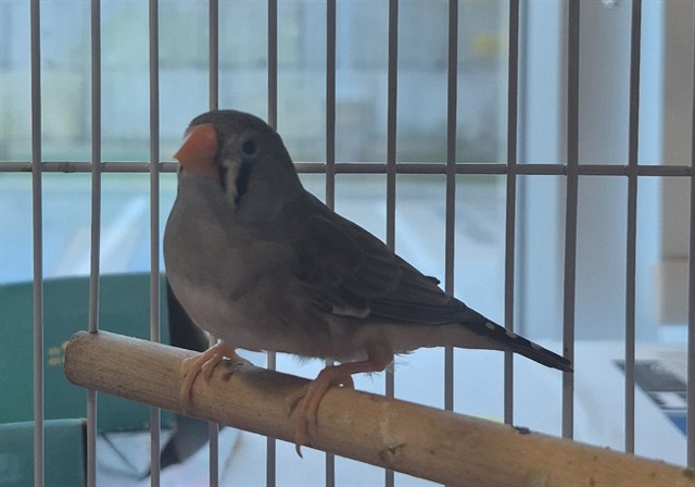 Image_A082504
